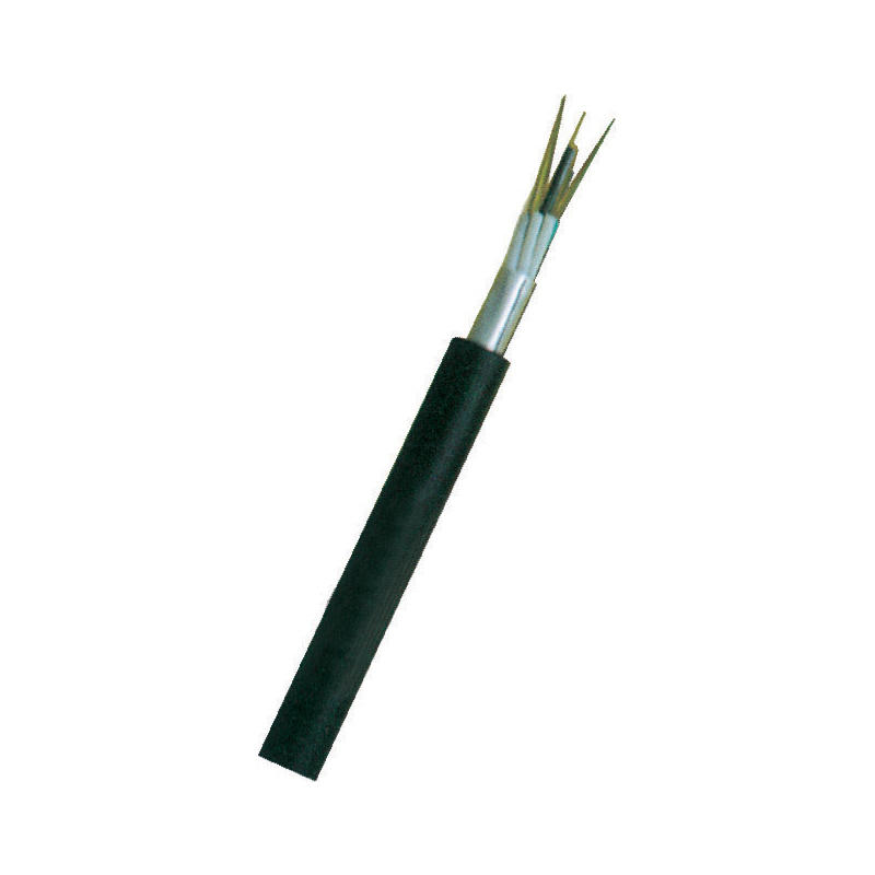 Single Mode Out Optical Cable(GYTA) FCS03